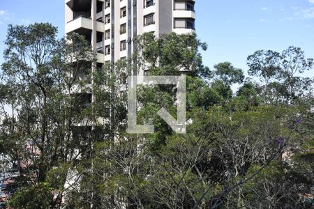 Apartamento à venda com 258m², 4 quartos e 8 vagasVista do quarto 2