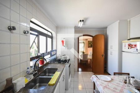 Apartamento à venda com 258m², 4 quartos e 8 vagasCozinha