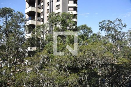 Apartamento à venda com 258m², 4 quartos e 8 vagasVista da suíte 2