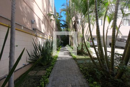 Área Comum de apartamento para alugar com 2 quartos, 50m² em Jardim Vazani, São Paulo