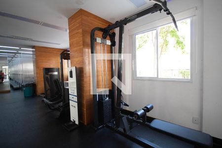 Apartamento à venda com 67m², 3 quartos e 1 vagaÁrea comum - Academia