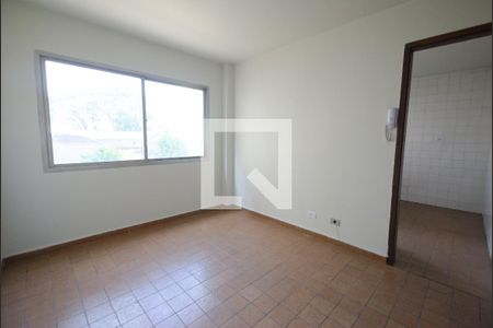 Sala de apartamento para alugar com 1 quarto, 77m² em Cambuci, São Paulo
