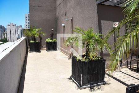 Studio para alugar com 37m², 1 quarto e sem vagaÁrea comum