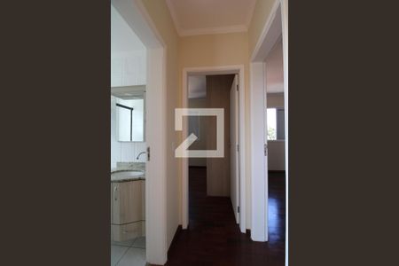 Corredor de apartamento para alugar com 2 quartos, 70m² em Jardim Boa Esperança, Campinas