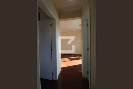 Corredor de apartamento para alugar com 2 quartos, 70m² em Jardim Boa Esperança, Campinas