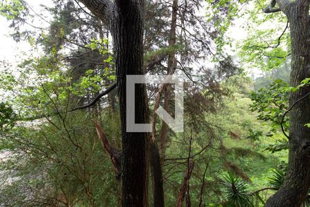 Casa de condomínio para alugar com 55m², 2 quartos e 1 vagaVista Cozinha/Área de serviço