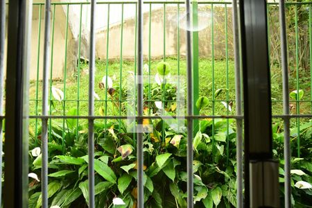 Vista da sala de apartamento para alugar com 2 quartos, 53m² em Jardim Caiapiá, Cotia