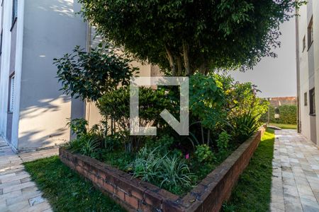 Apartamento para alugar com 65m², 2 quartos e 1 vagaÁrea Comum 