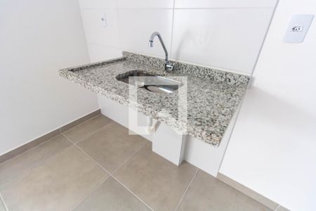 Sala/Cozinha - Pia de apartamento para alugar com 2 quartos, 40m² em Vila Graciosa, São Paulo