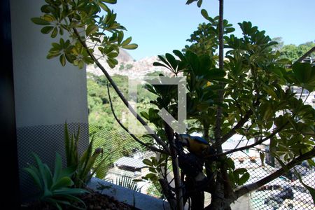 Apartamento à venda com 180m², 4 quartos e 2 vagasQuarto 1 vista 