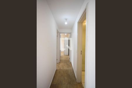 Corredor de apartamento para alugar com 2 quartos, 56m² em Jardim Parque Morumbi, São Paulo