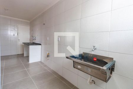 Lavanderia de apartamento para alugar com 2 quartos, 79m² em Quinta da Paineira, São Paulo