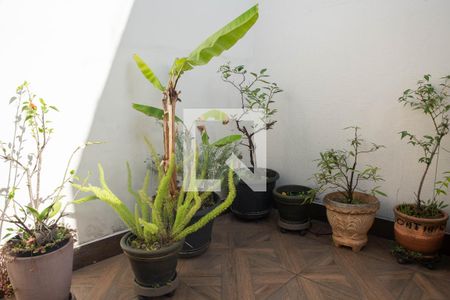 Apartamento para alugar com 125m², 3 quartos e 2 vagasQuintal