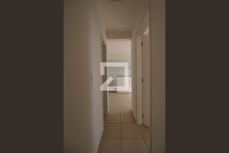 Corredor de apartamento para alugar com 2 quartos, 46m² em Vila Trinta E Um de Março, Campinas