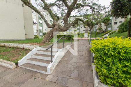 Área comum - acessibilidade de apartamento para alugar com 2 quartos, 65m² em Morro Santana, Porto Alegre
