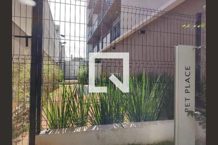 Apartamento para alugar com 37m², 1 quarto e sem vaga Apartamento para alugar com 37m², 1 quarto e sem vagaPet Place