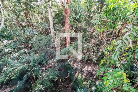 Apartamento para alugar com 52m², 2 quartos e 1 vaga Apartamento para alugar com 52m², 2 quartos e 1 vagaÁrea Comum - Bosque