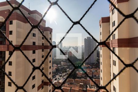 Sala - Vista da Varanda de apartamento para alugar com 3 quartos, 70m² em Campo Grande, São Paulo