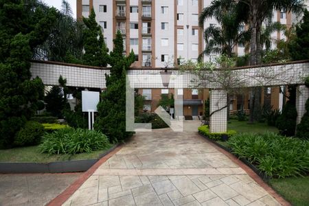 Área comum - Jardim de entrada de apartamento para alugar com 2 quartos, 47m² em Cambuci, São Paulo