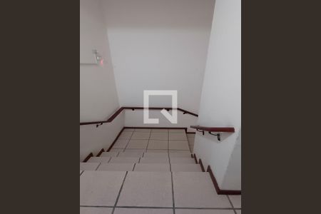 Escada Externa de apartamento para alugar com 3 quartos, 70m² em Campinas, São José