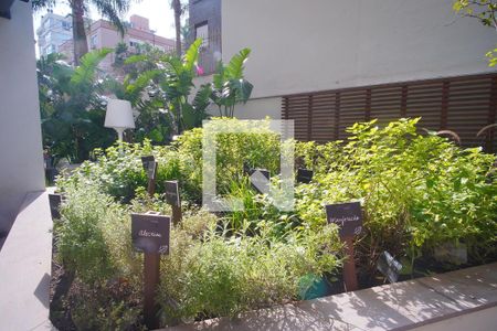 Studio à venda com 50m², 1 quarto e 1 vagaÁrea Comum horta 