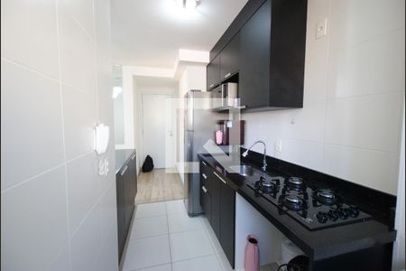 Cozinha de apartamento para alugar com 2 quartos, 41m² em Cambuci, São Paulo