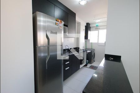 Cozinha de apartamento para alugar com 2 quartos, 41m² em Cambuci, São Paulo