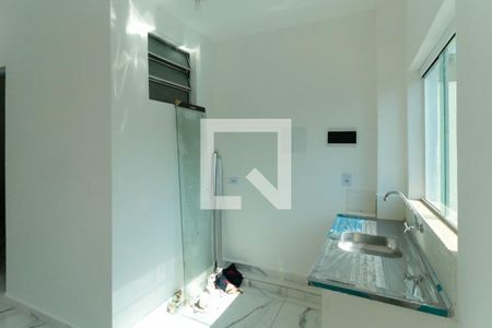 Studio de kitnet/studio para alugar com 1 quarto, 35m² em Cambuci, São Paulo