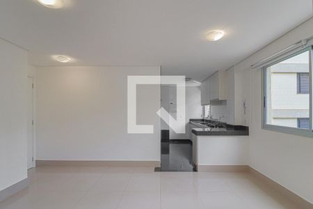 Sala de apartamento para alugar com 1 quarto, 44m² em Lourdes, Belo Horizonte