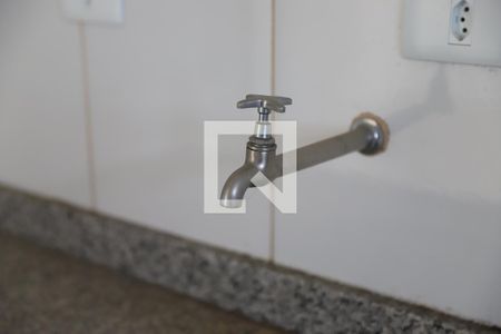 Apartamento para alugar com 52m², 2 quartos e 1 vagaCozinha - Torneira