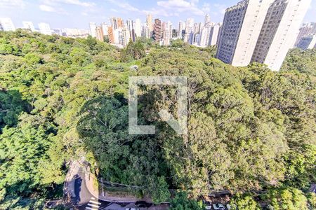 Apartamento para alugar com 76m², 3 quartos e 1 vagaVista do Quarto 3