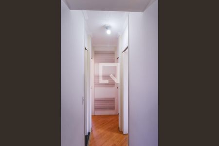 Corredor de apartamento para alugar com 3 quartos, 58m² em Jardim Santa Teresinha, São Paulo