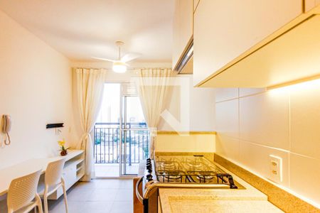 Apartamento para alugar com 29m², 1 quarto e 1 vagaCozinha 