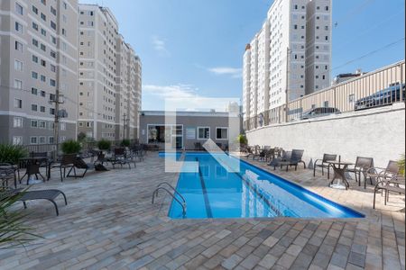 Área comum - Piscina de apartamento para alugar com 2 quartos, 52m² em Jardim Nova Europa, Campinas