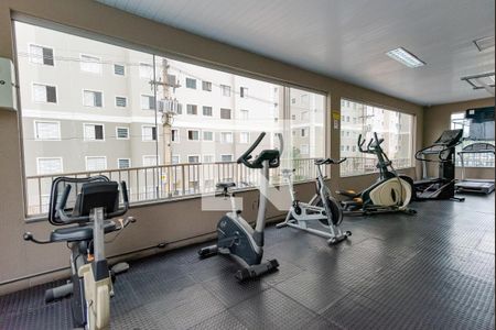 Área comum - Academia de apartamento para alugar com 2 quartos, 52m² em Jardim Nova Europa, Campinas