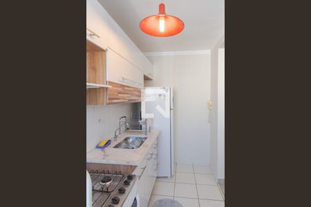 Cozinha de apartamento para alugar com 2 quartos, 52m² em Jardim Nova Europa, Campinas