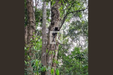 Apartamento para alugar com 43m², 2 quartos e 1 vagaBosque area comum