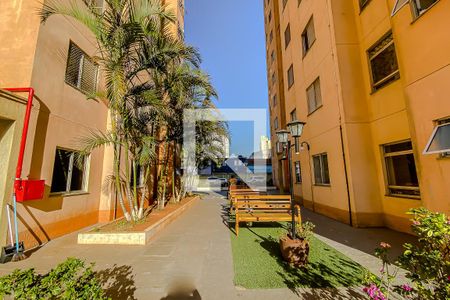 Apartamento à venda com 49m², 2 quartos e 1 vagaArea comun