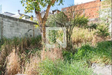 Casa à venda com 340m², 4 quartos e 1 vagaQuintal