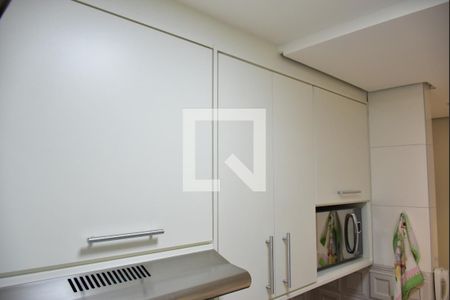 Apartamento para alugar com 48m², 2 quartos e 1 vagaCozinha - Armários