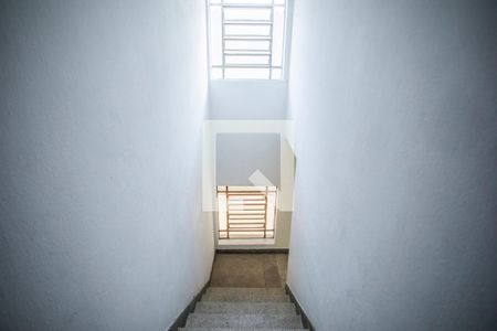 Escadas de casa para alugar com 2 quartos, 300m² em Vila Campestre, São Paulo