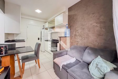 Sala de apartamento para alugar com 2 quartos, 45m² em Cambuci, São Paulo