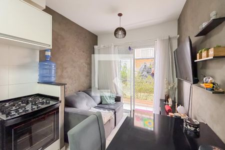Sala de apartamento para alugar com 2 quartos, 45m² em Cambuci, São Paulo