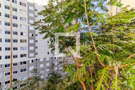 Apartamento para alugar com 68m², 3 quartos e 1 vaga Apartamento para alugar com 68m², 3 quartos e 1 vagaVista da Suíte