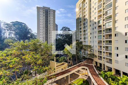 Apartamento para alugar com 68m², 3 quartos e 1 vaga Apartamento para alugar com 68m², 3 quartos e 1 vagaVista do Quarto 1