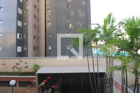 Vista da Sacada da Sala e do Escritório de apartamento para alugar com 3 quartos, 138m² em Cambuí, Campinas