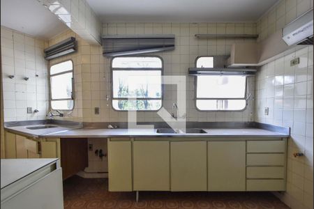 Apartamento para alugar com 314m², 3 quartos e 2 vagasCozinha