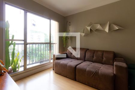 Sala de apartamento para alugar com 3 quartos, 74m² em Vila Ipojuca, São Paulo