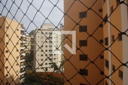 Apartamento à venda com 200m², 4 quartos e 4 vagas:Vista da suíte 1