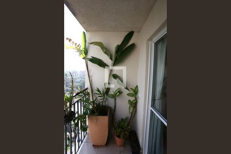 Sacada de apartamento à venda com 2 quartos, 59m² em Jardim Parque Morumbi, São Paulo